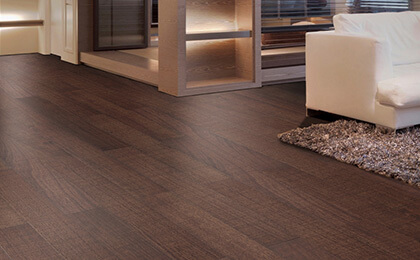 第二階段(2001-2010)